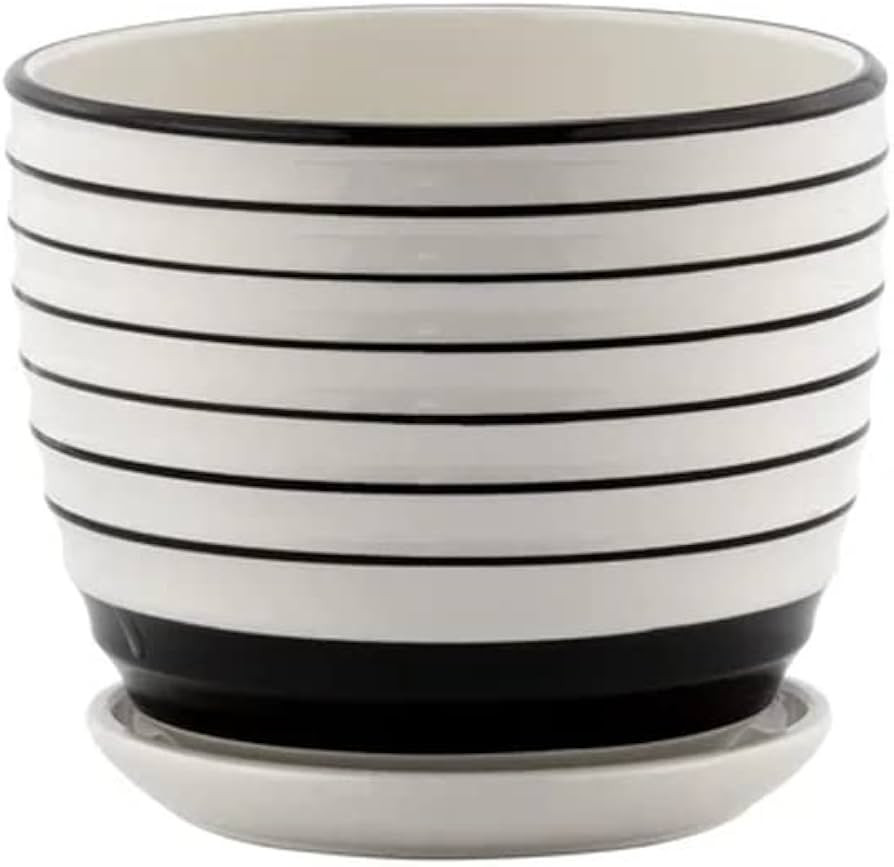 The Bridge Collection Small Black & White Striped Pot with Saucer | Amazon (US)