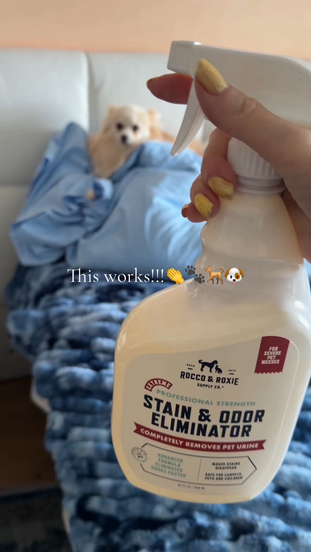 This works!🐾🐶🐕

#LTKHome