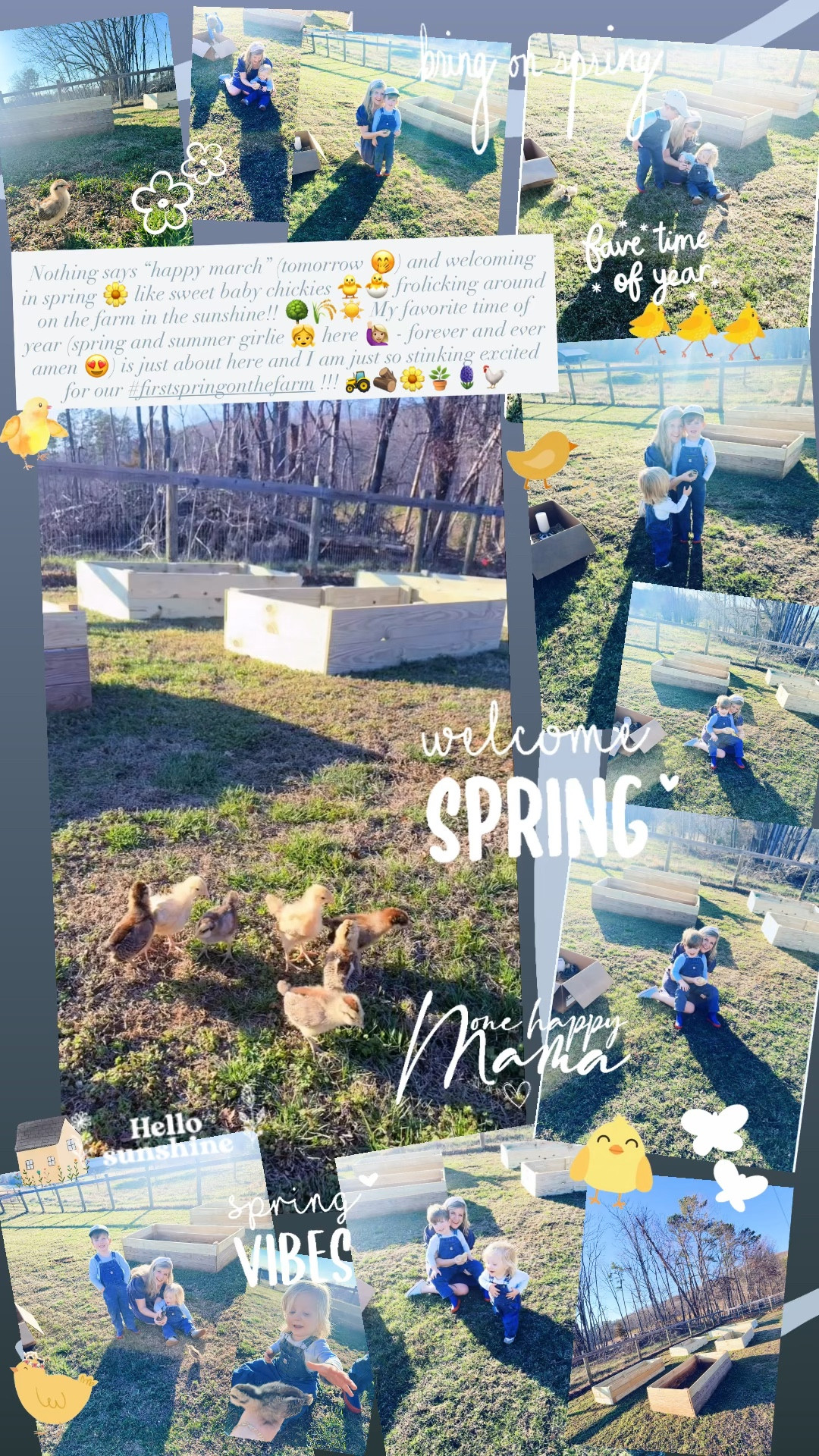 Nothing says “happy march” (tomorrow 🤭) and welcoming in spring 🌼 like sweet baby chickies 🐥🐣 frolicking around on the farm in the sunshine!! 🌳🌾☀️ My favorite time of year (spring and summer girlie 👧 here 🙋🏼‍♀️ - forever and ever amen 😍) is just about here and I am just so stinking excited for our #firstspringonthefarm !!! 🚜🪵🌼🪴🪻🐓

#LTKKids #LTKmomlife