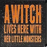 Artistic Reflections ''A Witch Lives here with her Little Monsters'' Framed Art | Amazon (US)