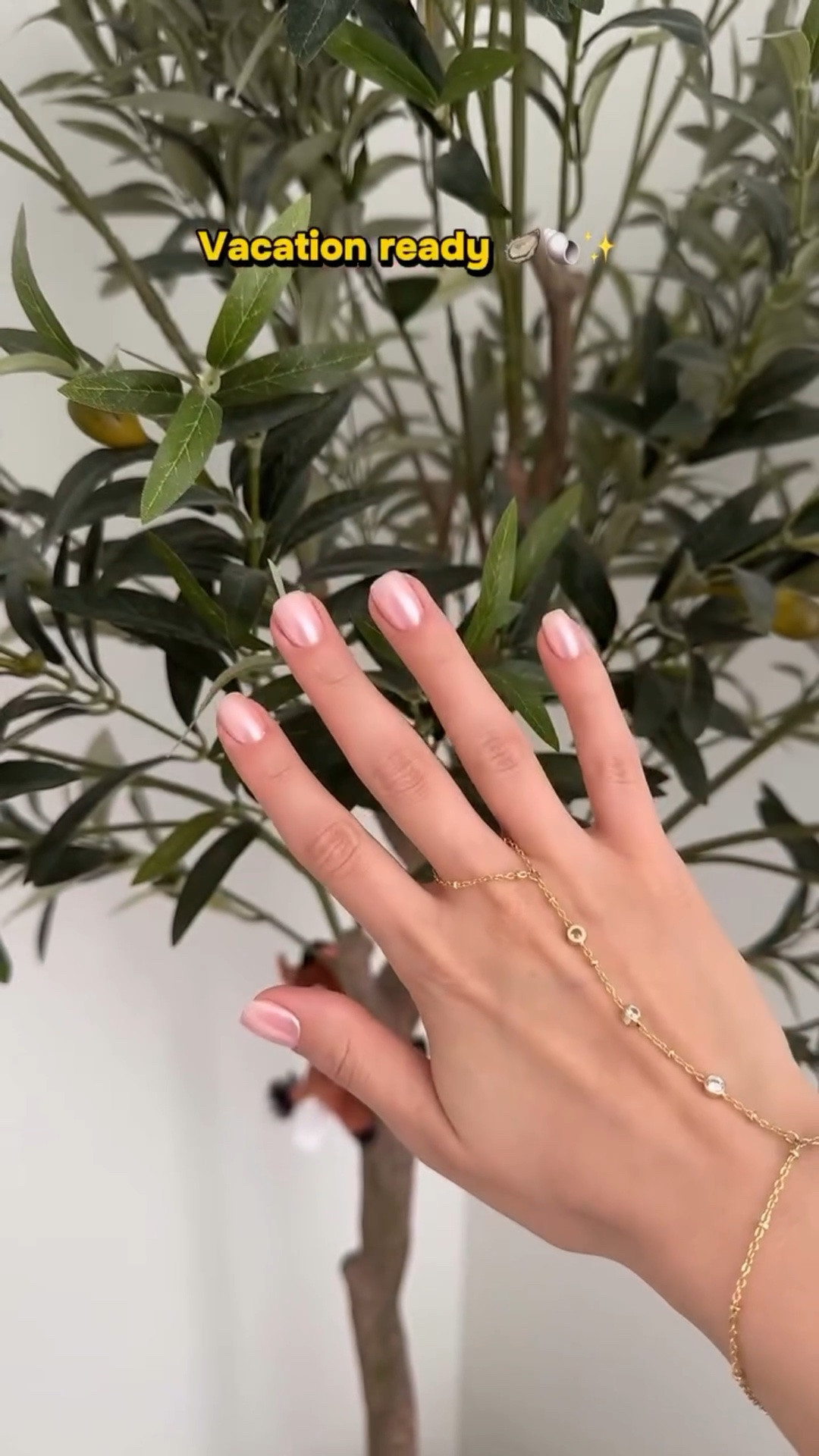 Nothing like a fresh manicure from @ntnailcommerce 💅🏼

Color is @opi bubble bath gel polish topped with Emily’s Nail World clear chrome powder. Thank you, Joseph! 🤍
 
(Yes, that is Pumbaa on our olive tree @bullsitoy 🐗🤎) 
 
#nailtransition #nailtransformation #nailinspo #nailideas