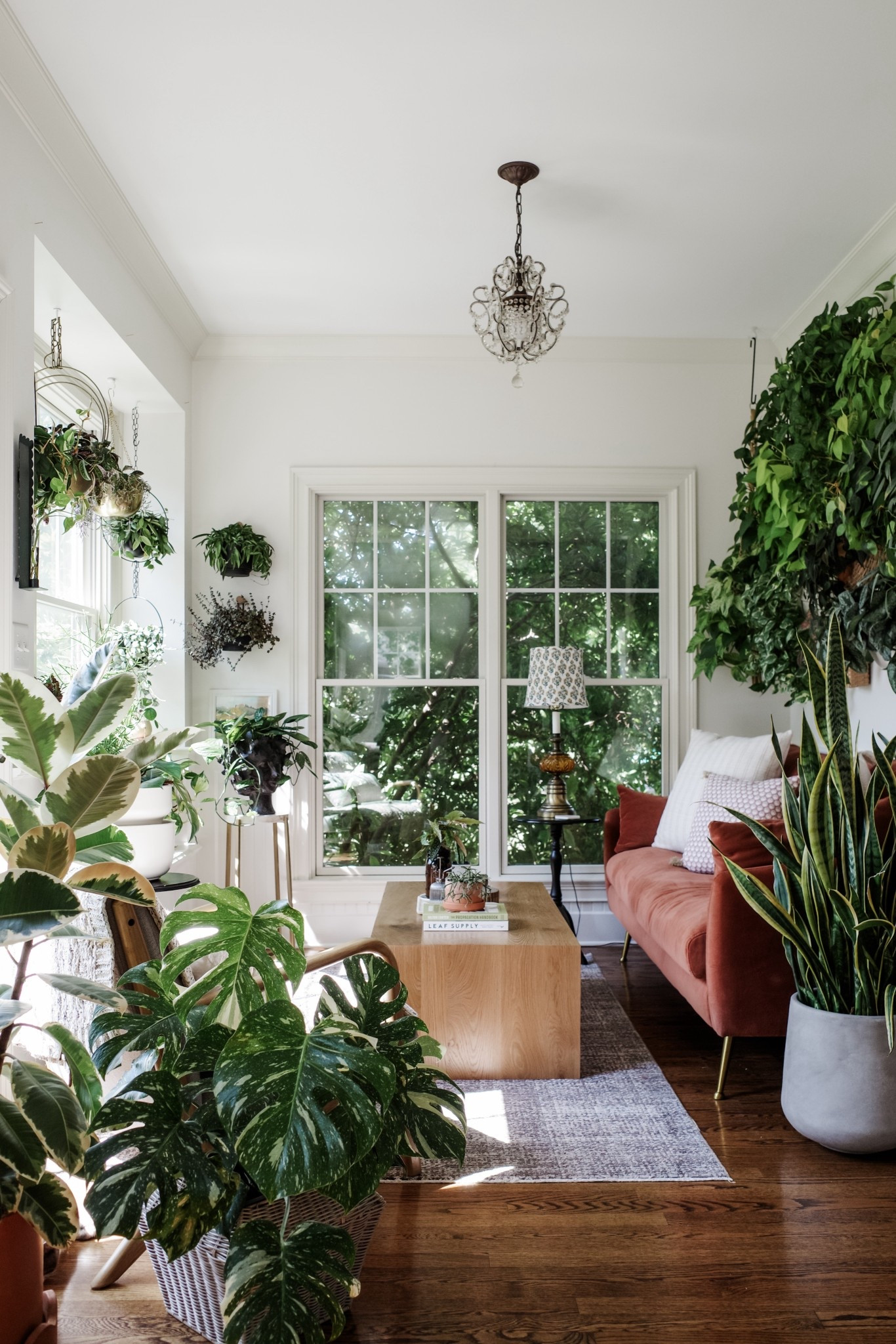 Plant Room Favorites!