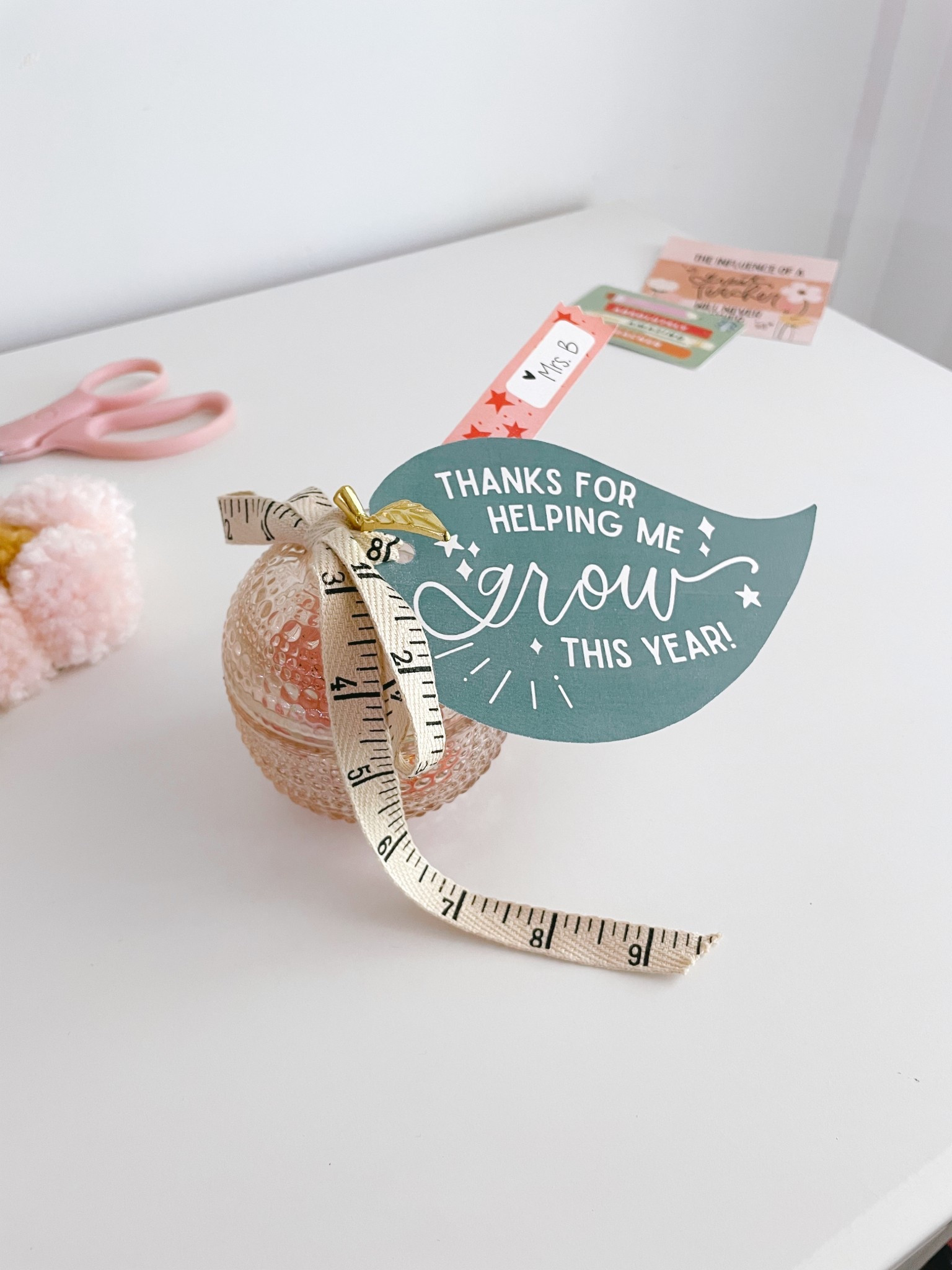 Teacher Appreciation week is coming! Don’t forget our awesome teacher. Here’s a best seller with tags from The Letter Vee! 

#LTKGiftGuide #LTKKids #LTKFamily