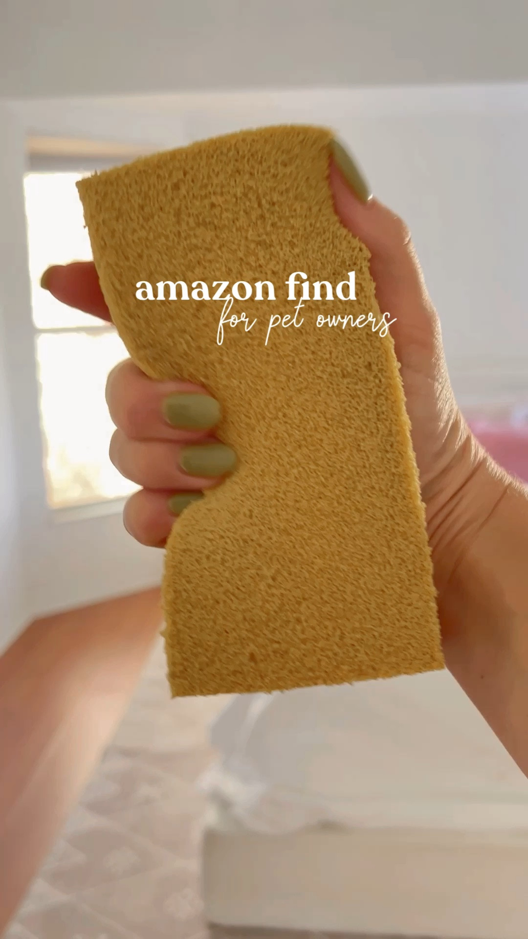 amazon find for pet owners! 

#LTKhome