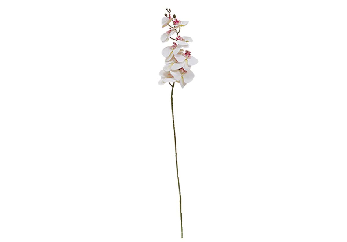 WHITE ORCHID STEM | Alice Lane Home Collection