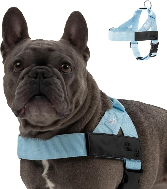 DF Co. Dog Harness | Chafe Resistant Webbing, Adjustable Neck & Chest, and Heavy Duty D-Ring | St... | Amazon (US)