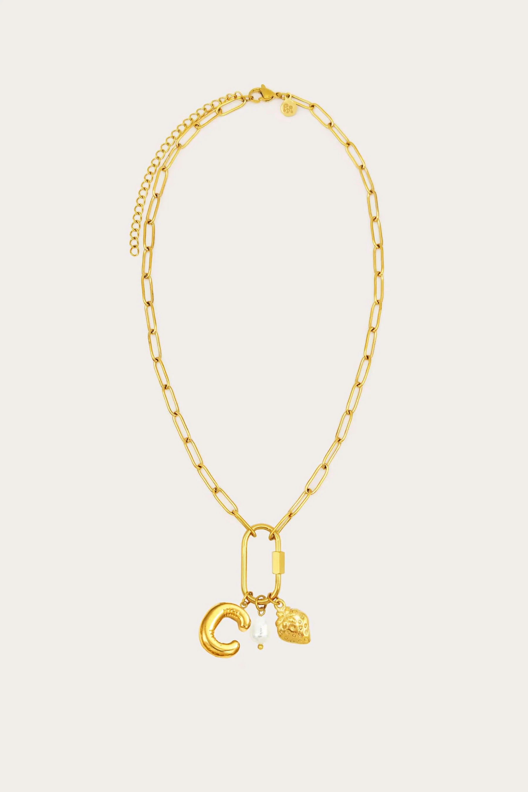 Carabiner Initial Charm Necklace | Petit Moments