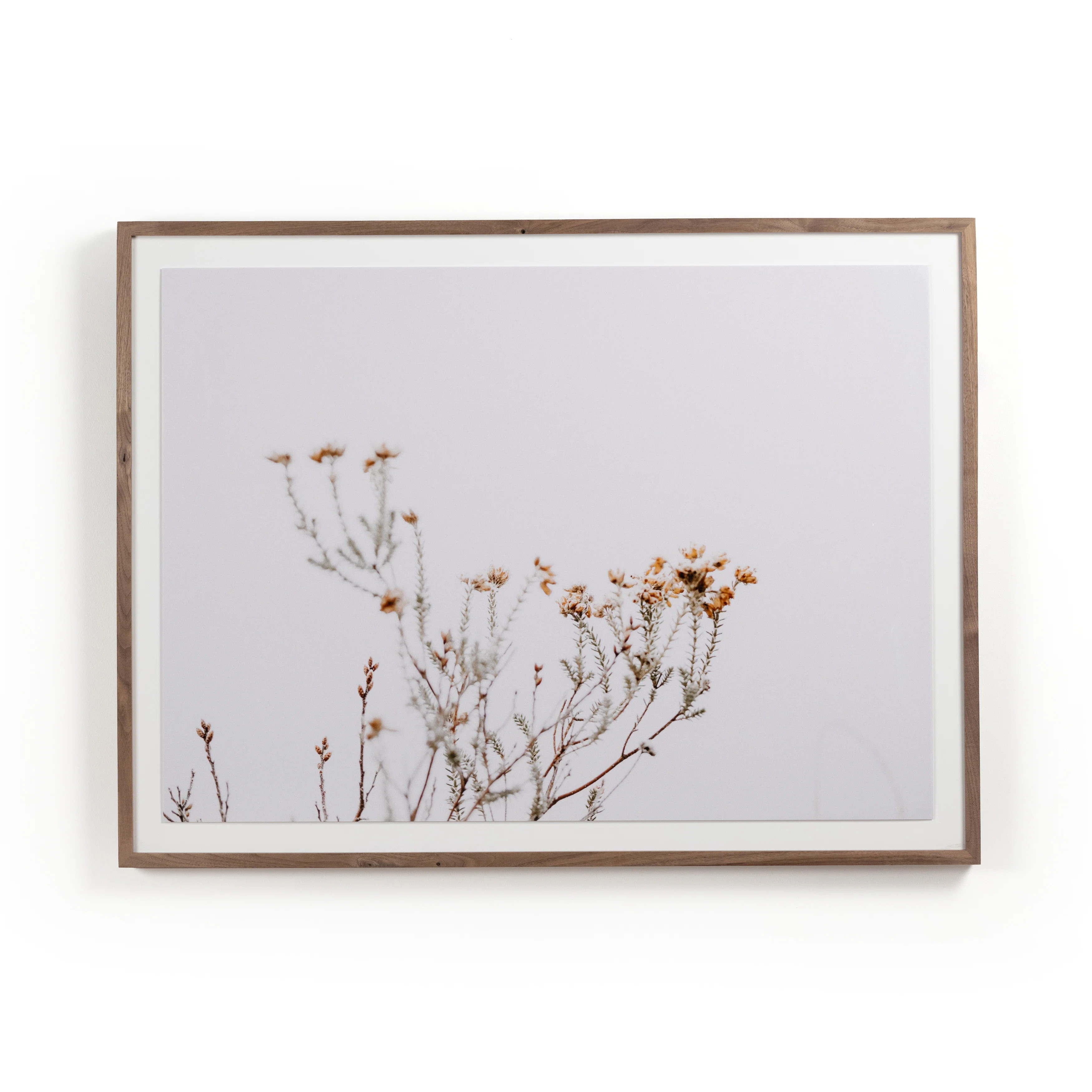 Wildon Home® Aleid In the Details I by Annie Spratt - Single Picture Frame Photograph on Paper |... | Wayfair North America