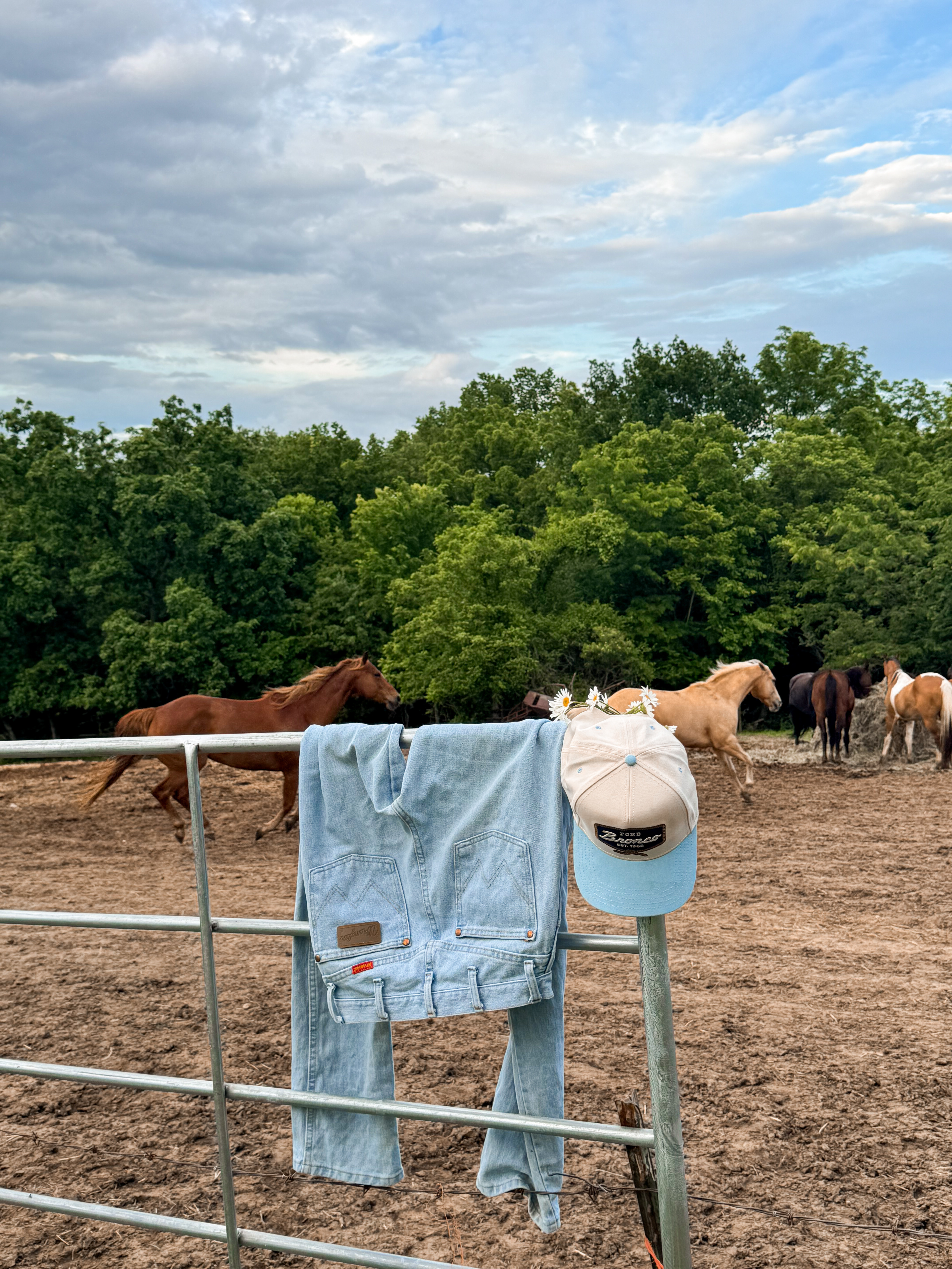 jeans & hat 

#LTKStyleTip #LTKFindsUnder50 #LTKSummerEdit