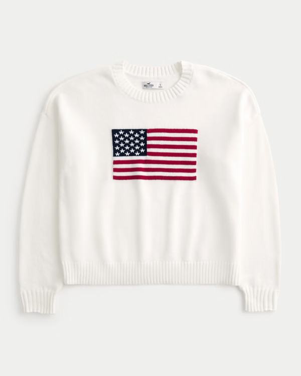 American Flag Graphic Crew Sweater | Hollister (US)