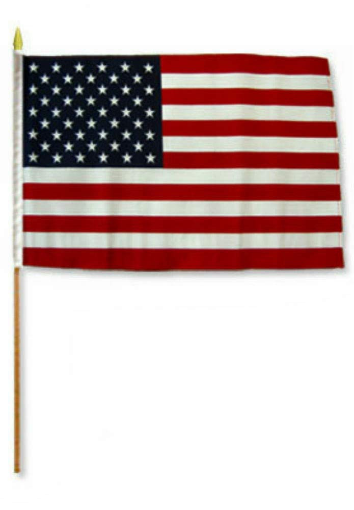 12x18 12"x18" USA American 50 Star Grave Marker Stick Flag | Amazon (US)