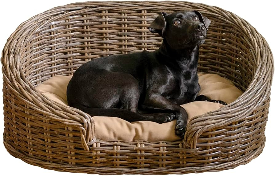 DBD1000A Curvy 28.5" x 17.25" Classic Handwoven Rattan Dog Bed with Machine-Washable Cushion, Kub... | Amazon (US)