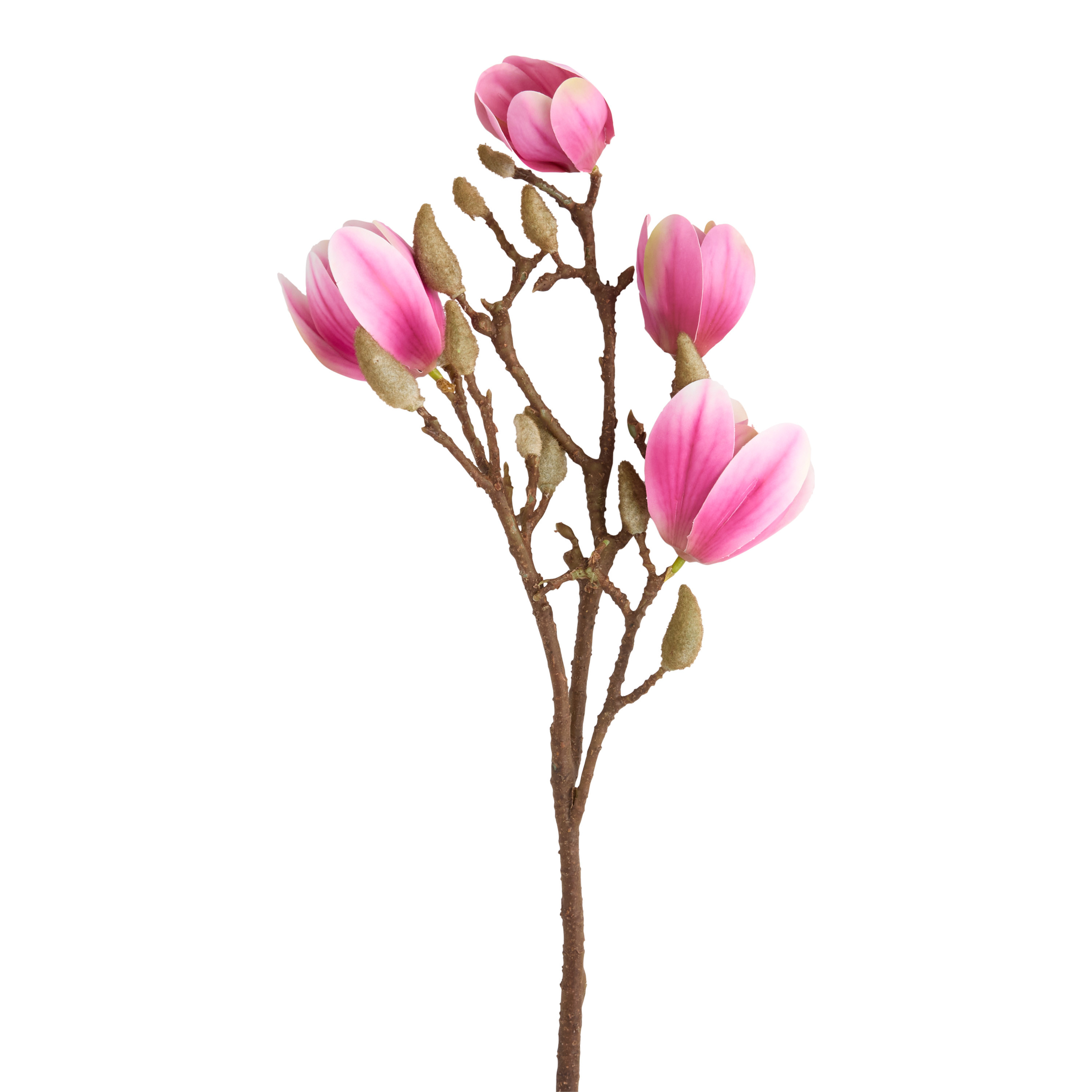 Soft Touch Faux Magnolia Stem - World Market | World Market