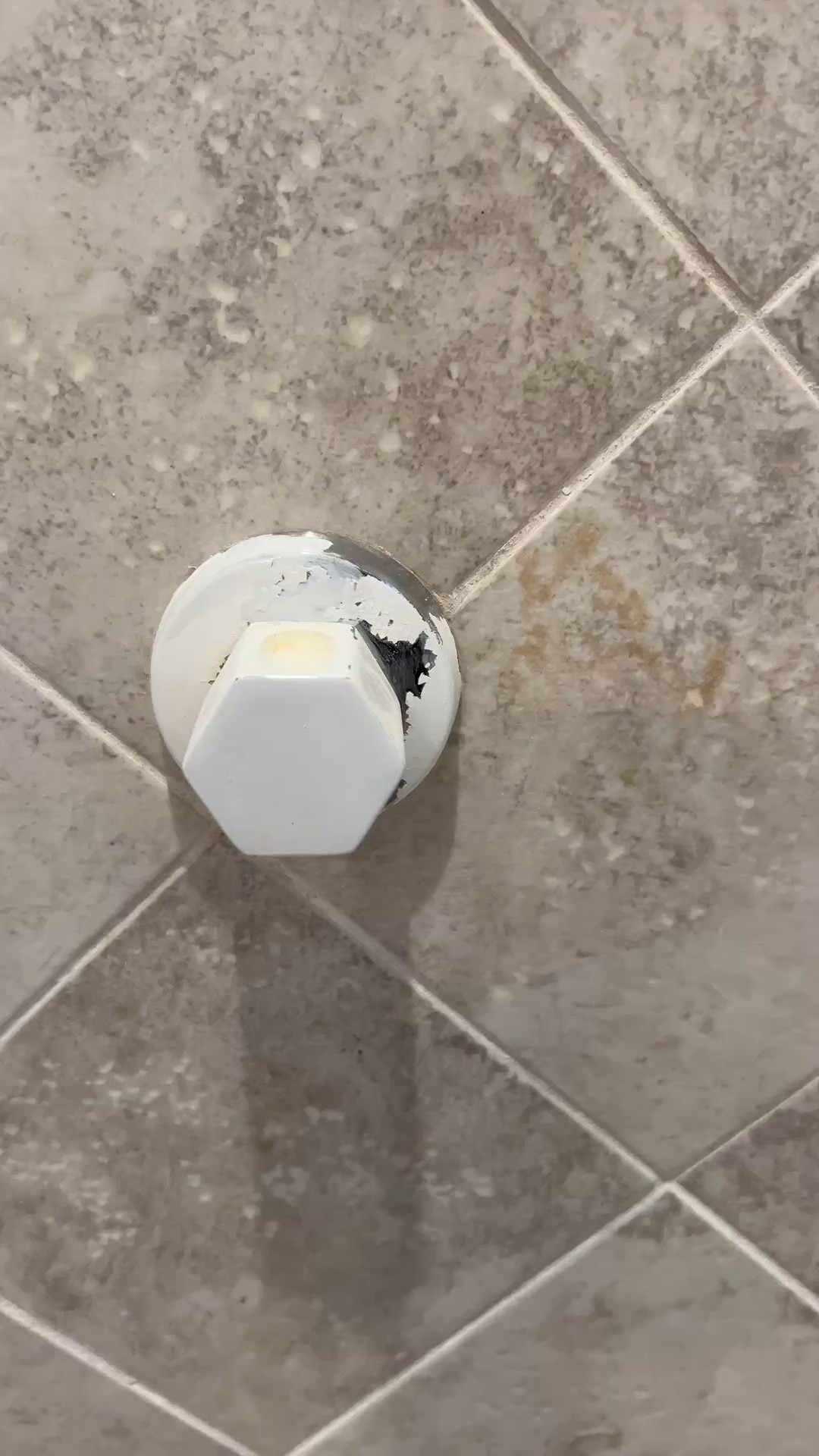 Painting the steam shower spout with appliance paint. Says it’s waterproof so we’ll see it that’s correct. Made to touch up your kitchen appliances.  

#LTKOver40 #LTKFindsUnder50 #LTKHome