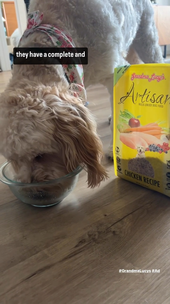 Grandma Lucy’s has an award-winning 3-bag assortment of their wholesome ultra-premium dog food. It’s fresh, lightweight, and shelf-stable. That means that you can pack it in your your bag when going on a summer adventure and don’t have to worry about needing a fridge or freezer.

A 1 pound bag equals 5 pounds of fresh food - the bundle includes 15 pounds of fresh food and the prep is as simple as the ingredients in the food. All you do is pour the food into the bowl and add warm water. You can actually see the quality and smell it as your mixing the water in. 

Click on the link to get the bundle for your furry friend to try!
#ad #grandmalucys fresh dog food, healthy dog food 

#LTKVideo #LTKHome