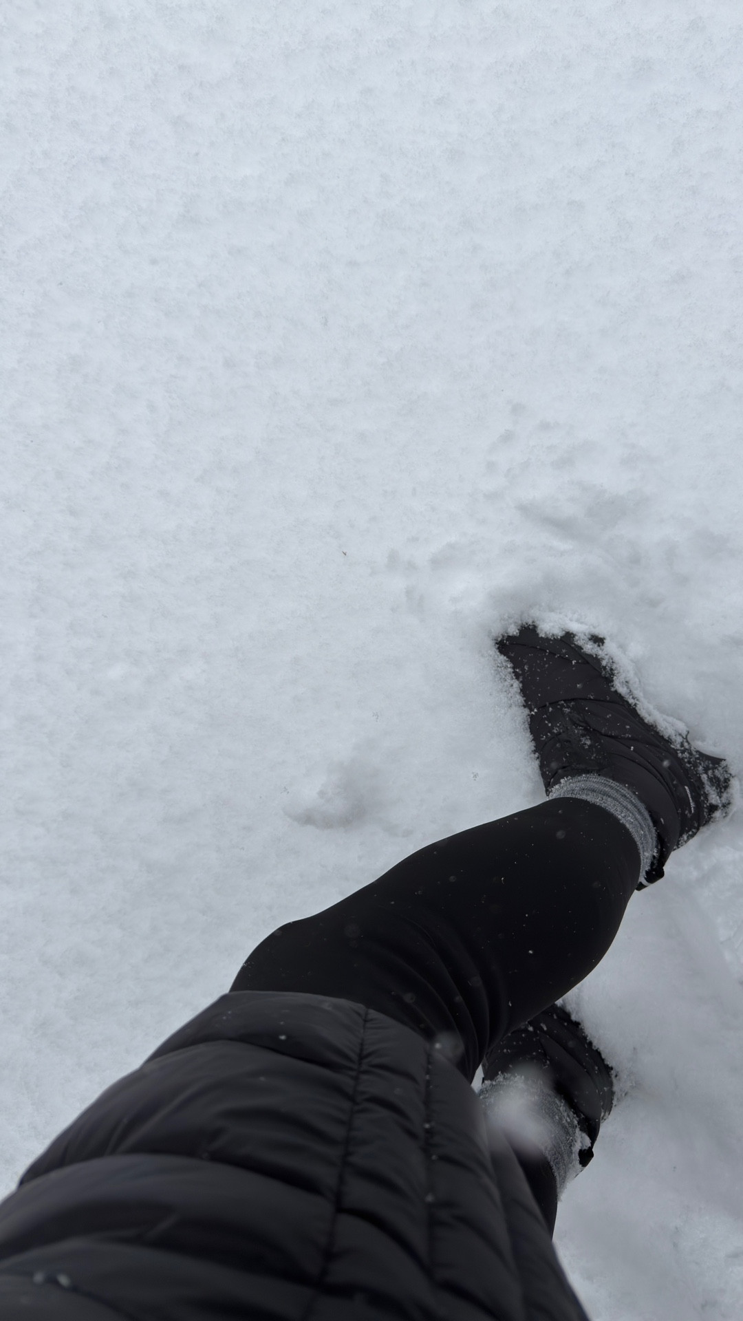 Sorel Kinetic snow boot purchased last year for Europe! First snow wearing them at home! 23 degrees and so warm, great traction. Easy on and off with zipper! 

#LTKActive #LTKSeasonal #LTKOver40