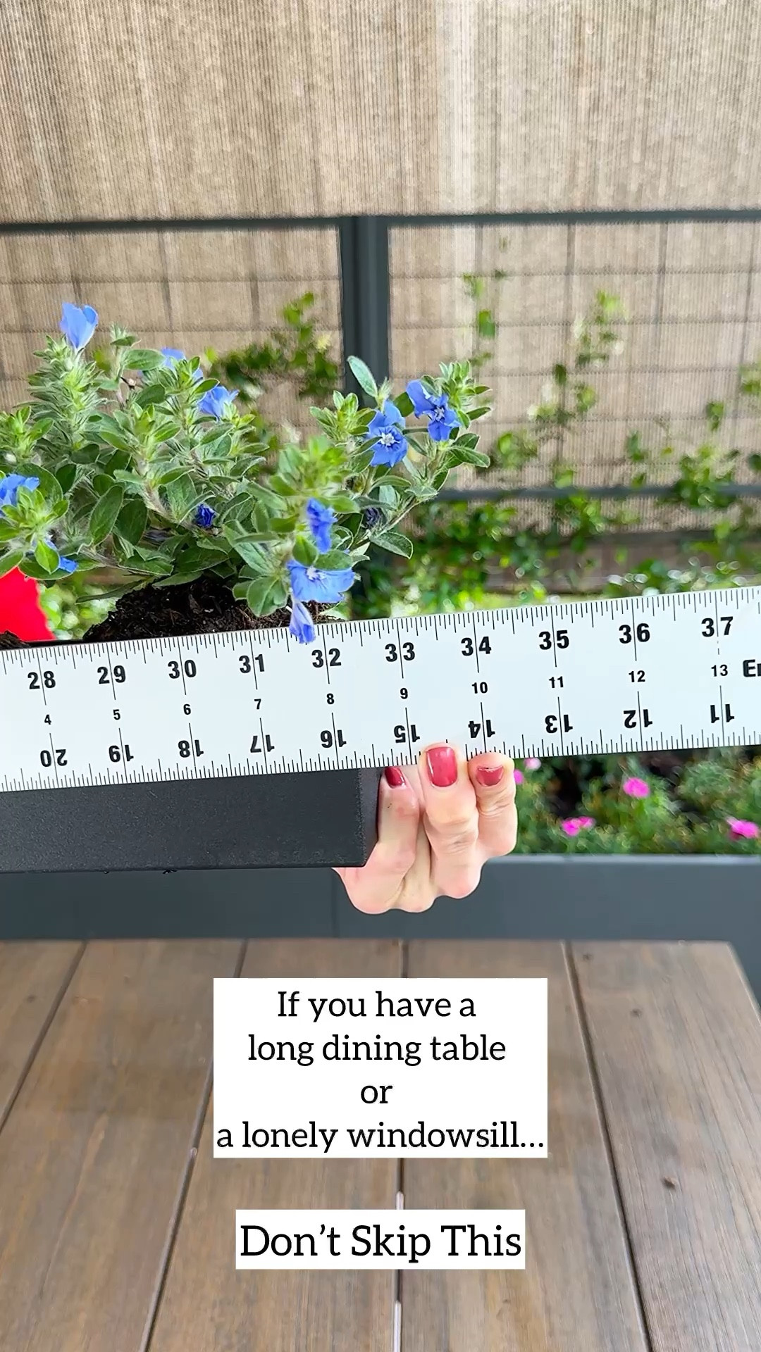 I’ve been using this on my table as a centerpiece, but you could easily style it on a windowsill or counter too.

I planted Blue My Mind in it and I’m obsessed.

It’s also resistant to cracks, fading, and UV, so it holds up and still looks good over time.

long planter decor | indoor plant styling | table decor ideas | windowsill styling | home decor with plants | modern planter | plant lover finds | greenery styling | decor ideas | simple home upgrades

#planterdecor #plantstyling #homedecorideas #indoorgarden #tabledecor

#LTKmomlife #LTKHome #LTKOver40