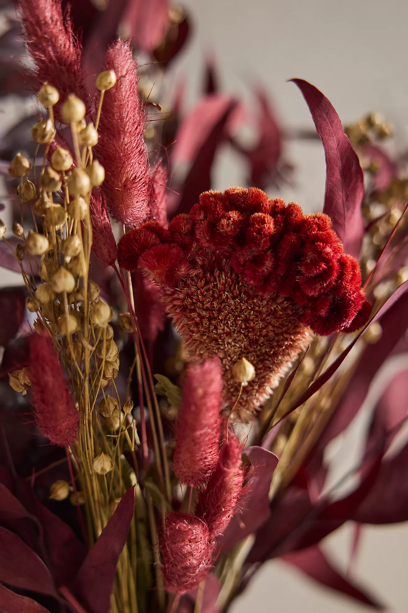 Dried Vermilion Ember Bouquet | Anthropologie (US)
