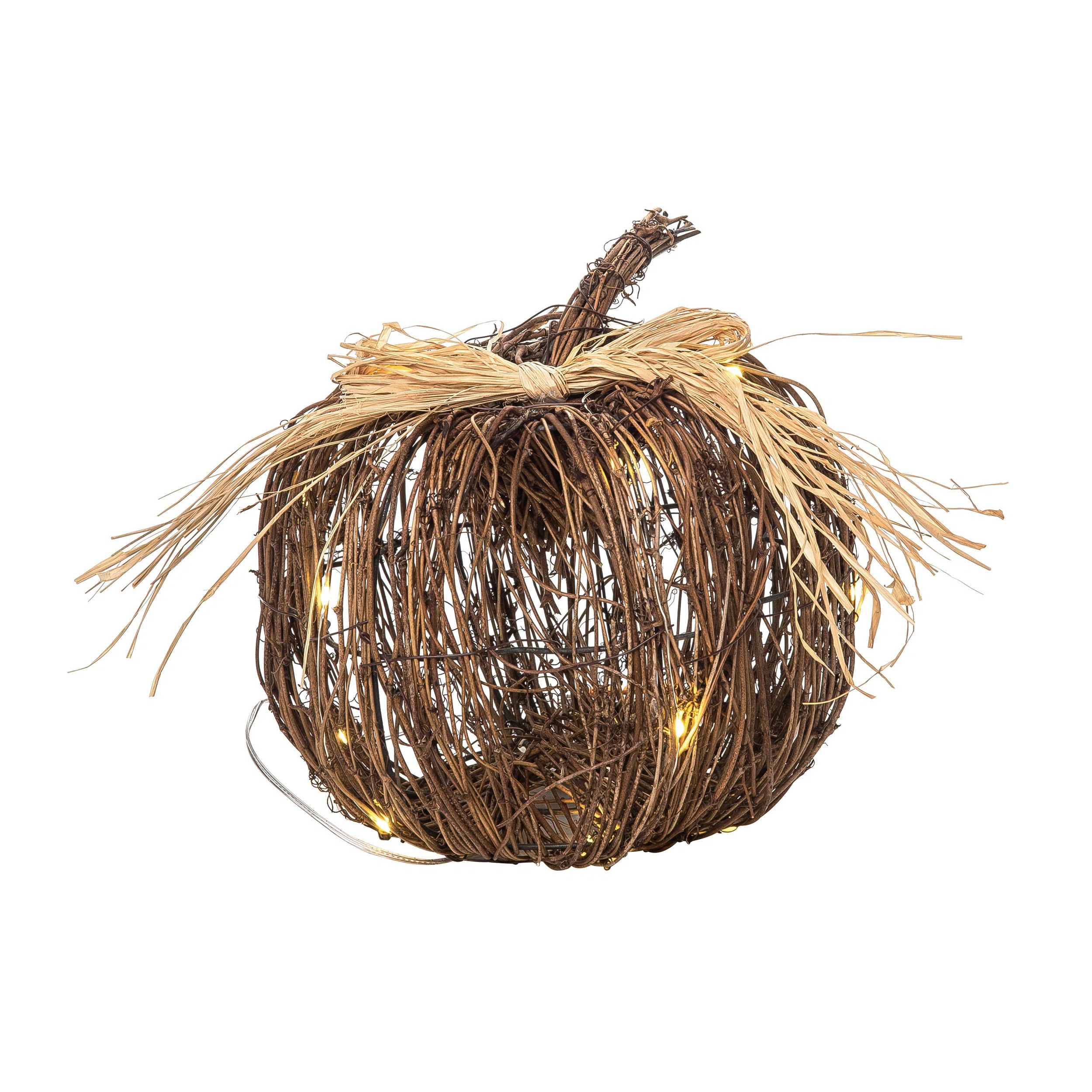 The Holiday Aisle® Multicolored Harvest Light up Pumpkin Decor | Wayfair | Wayfair North America