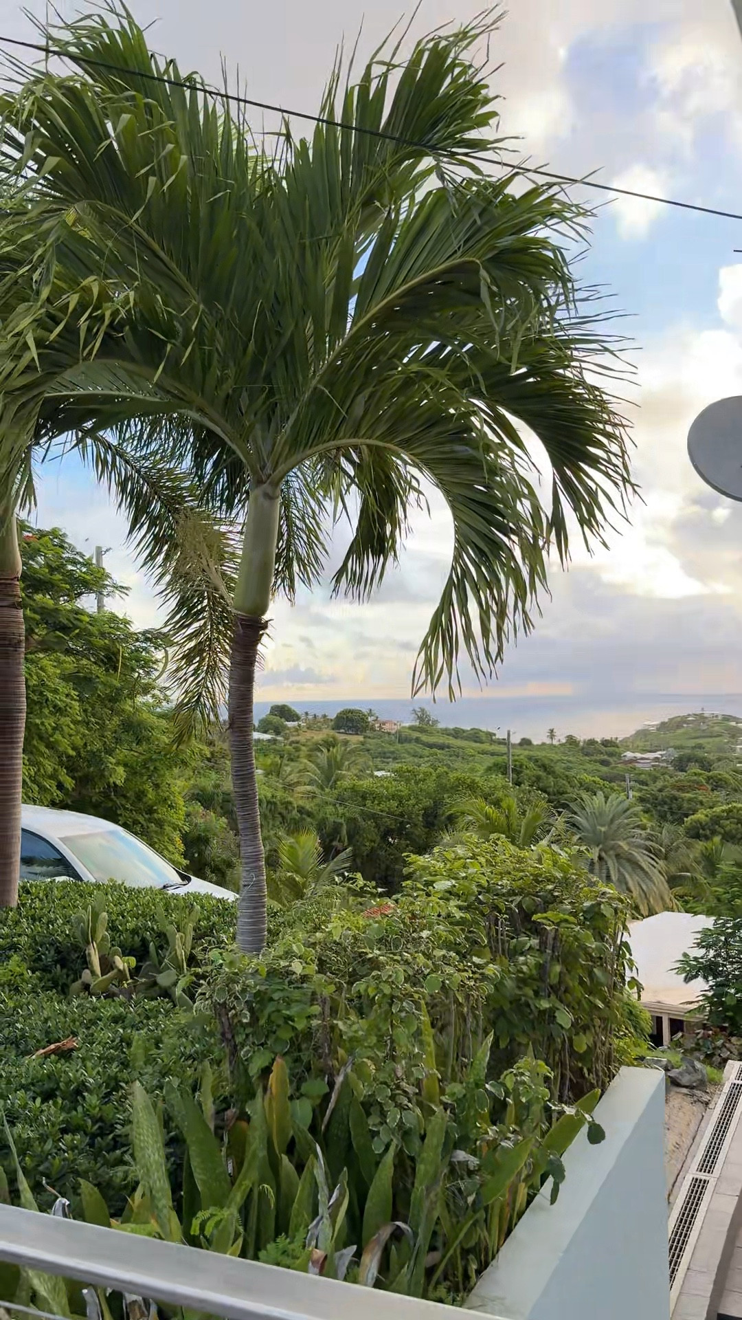 Day in my life living on St. Croix! Sizing below:
Lila hayes pjs - M
Workout set- Small top, Medium shorts
Roller Rabbits - M

#LTKSeasonal #LTKActive #LTKHalloween