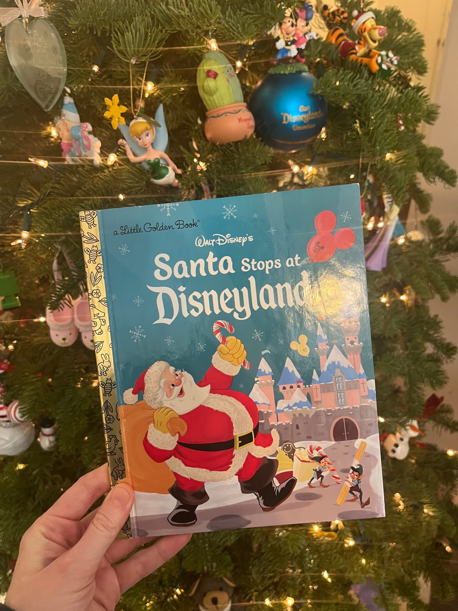 The cutest Disney Christmas book! Santa stops at Disneyland is such a fun little golden book to read with your kids  

#LTKmomlife #LTKKids #LTKHoliday