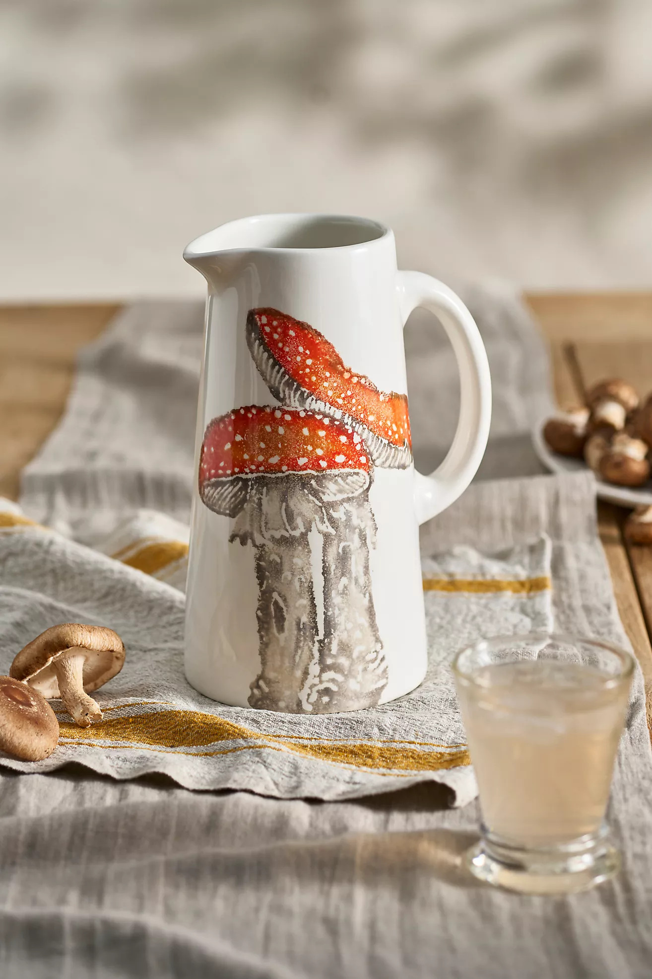 Mushroom Meadow Pitcher | Anthropologie (US)