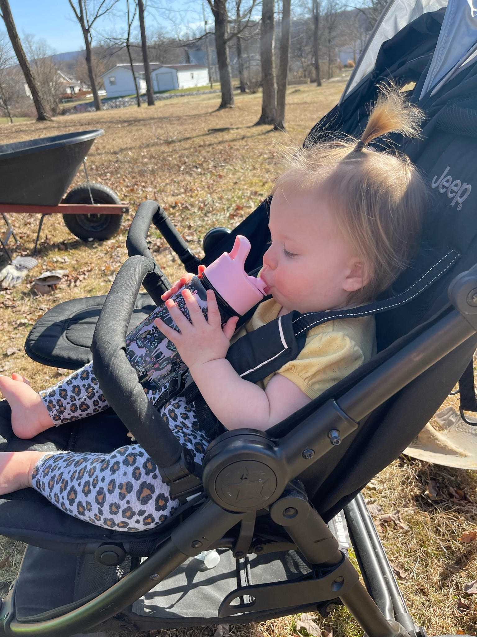 These are the best water bottles for every day use! 

#LTKbaby #LTKunder50 #LTKkids