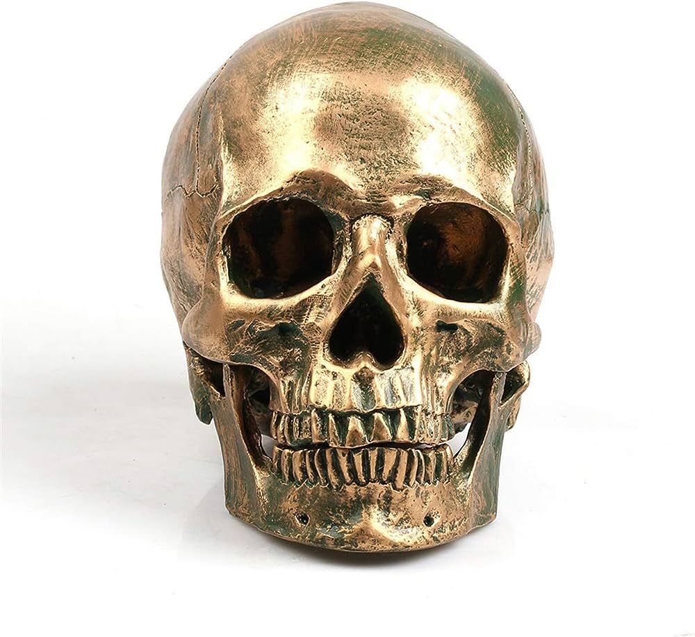 ECYC 1:1 Resin Human Skull Model Halloween Props Home Decorations High Fidelity Skull Head Sculpt... | Amazon (US)