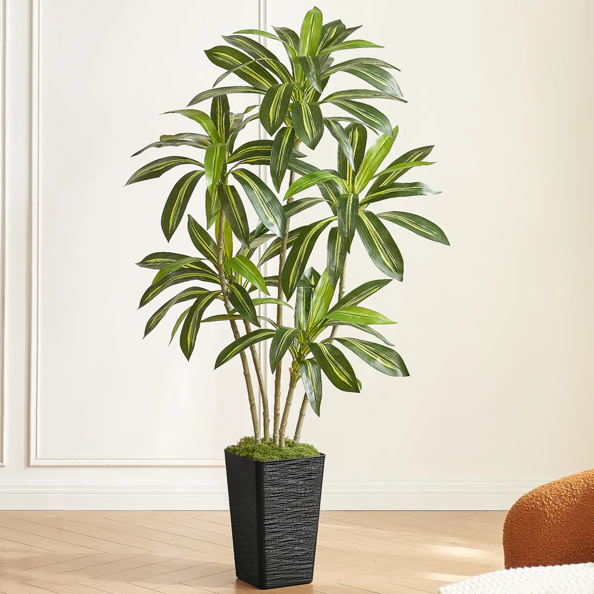 6FT Artificial Dracaena Tree in Black Planter, Real Touch Faux Indoor Plant for Home Office Decor... | Wayfair North America