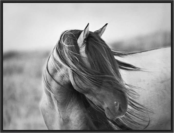 Amanti Art Framed Canvas Wall Art 23x30 Fierce Grace (Horse) by Tony Stromberg, Framed Wall Art C... | Amazon (US)