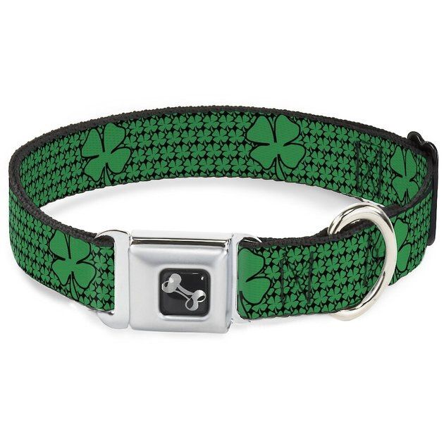 Buckle-Down St. Pat's Clovers Dog Collar | Chewy.com