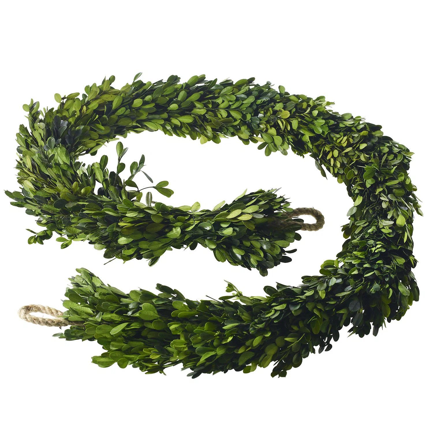 96'' in. Dried Boxwood Garland | Wayfair North America