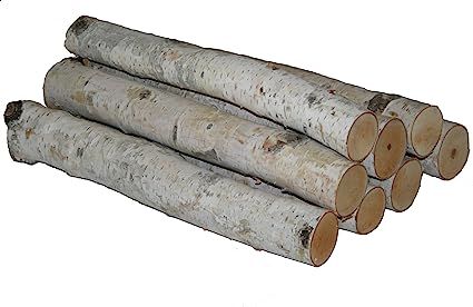 Wilson Enterprises White Birch Log Bundle, | Amazon (US)