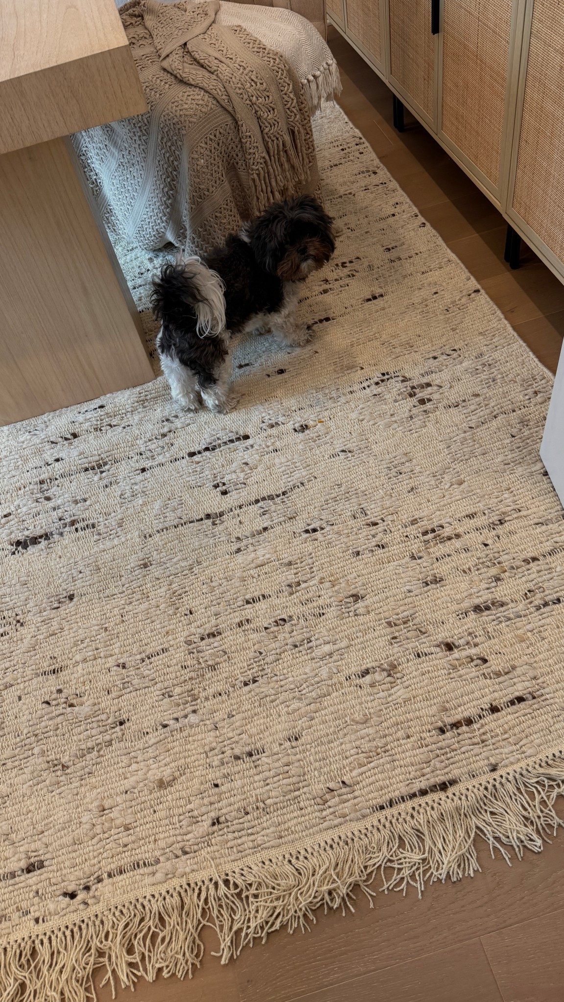 frank is checking out the new office rug!