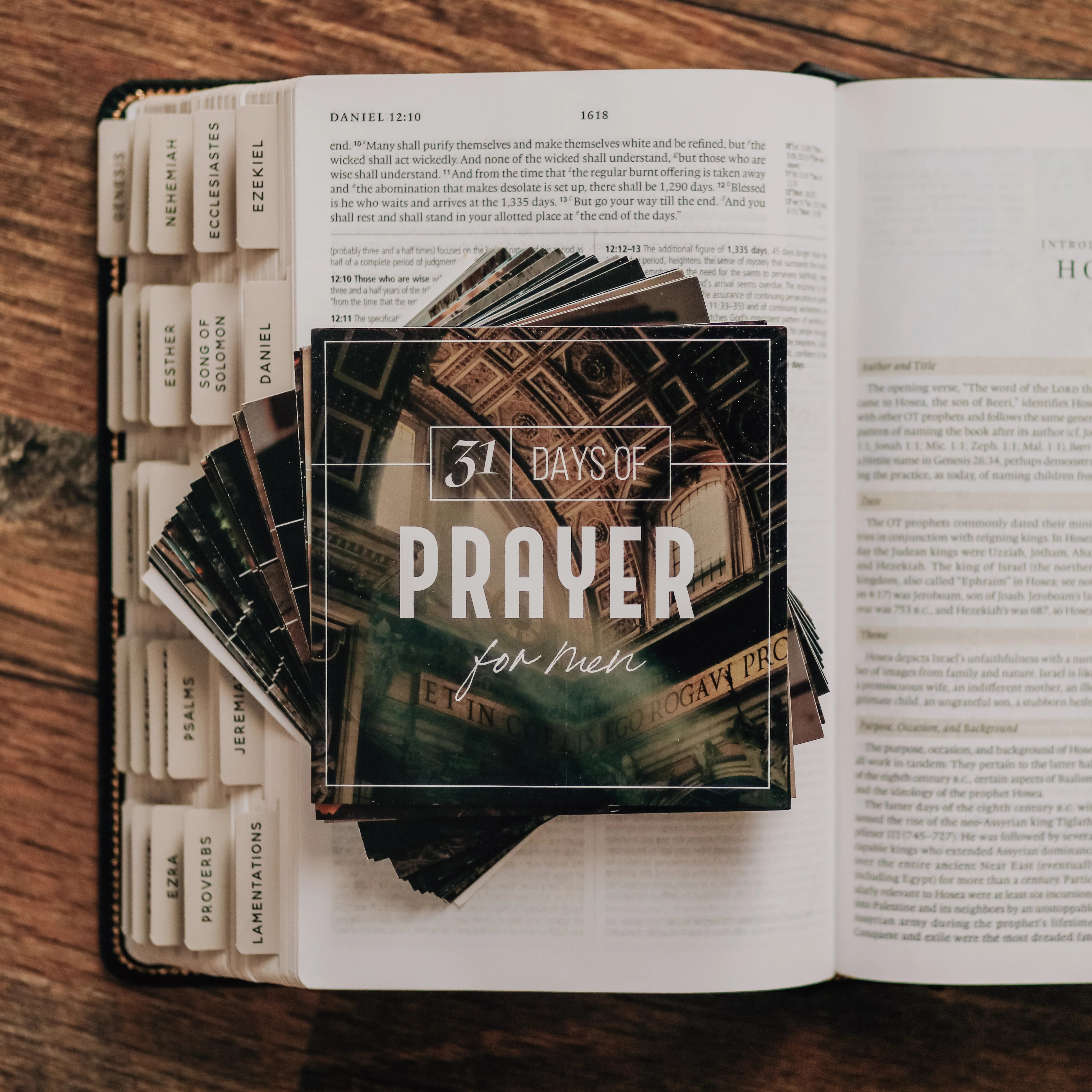 31 Days of Prayer Verse Card Set - Men | The Daily Grace Co.
