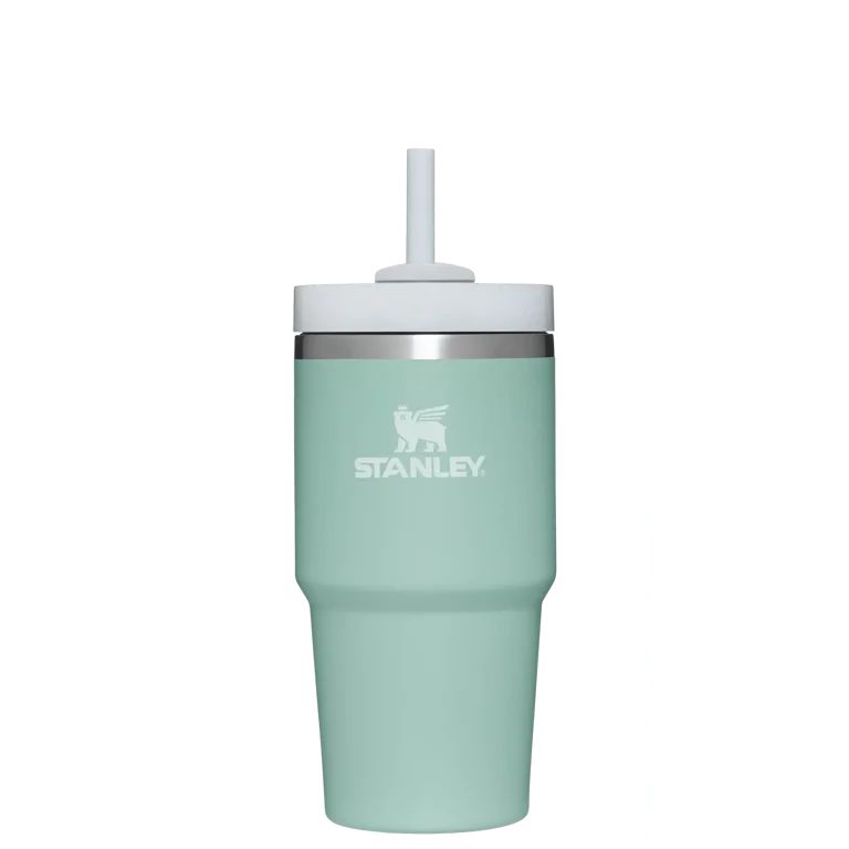 Stanley Adventure 20oz Stainless Steel Quencher H2.0 Tumbler Eucalyptus | Walmart (US)