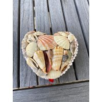 Heart Shaped Shell Box, Vintage | Etsy (US)