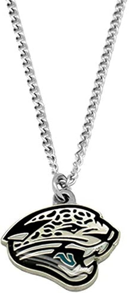 Aminco International NFL Logo Pendant | Amazon (US)