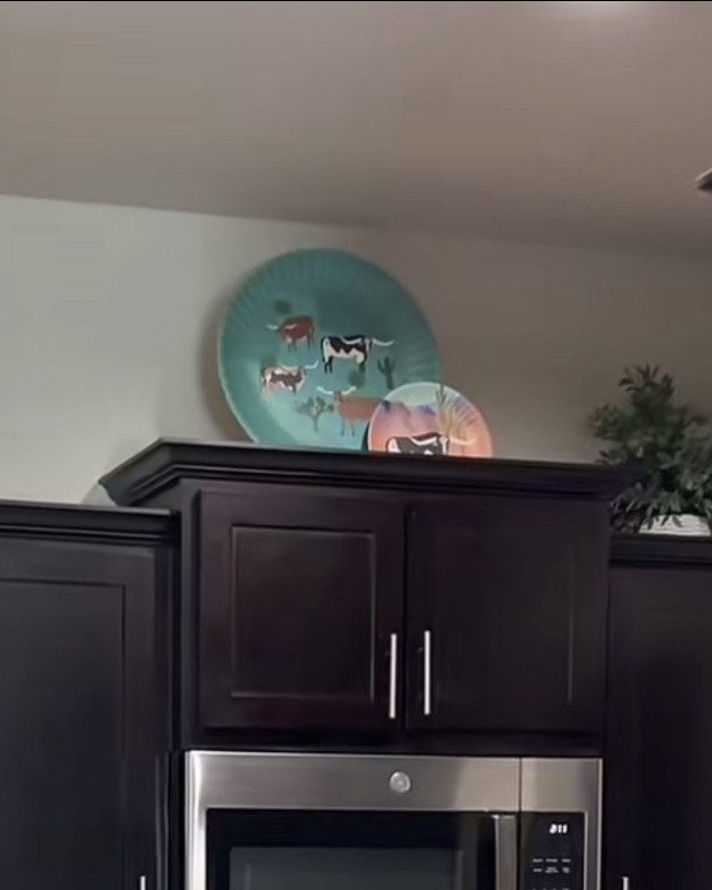 longhorn plates 🤎

#LTKHome