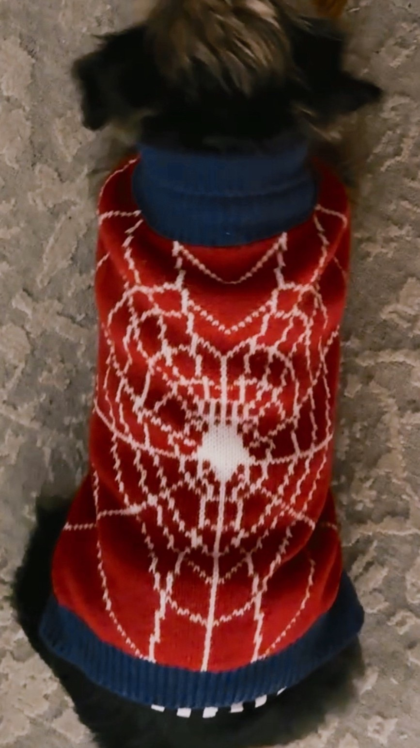 Cutest spiderman sweater!!!! P is 9 pounds and wearing a M! Actually so warm and good quality 

#LTKKids #LTKSeasonal #LTKGiftGuide