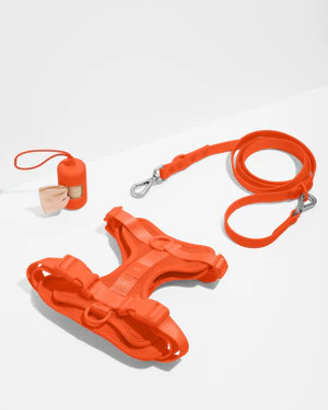 Harness Walk Kit | Dog Harness & Leash Kit | Wild One | Wild One