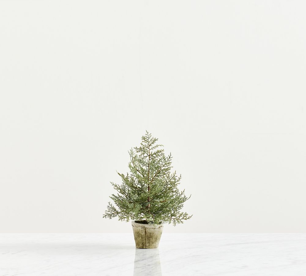 Faux Potted Cedar Trees | Pottery Barn (US)