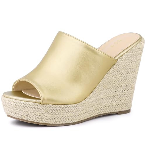 Perphy Open Toe Espadrille Wedge Heel Platform Slide Sandal for Women Gold 7.5 M US | Amazon (US)