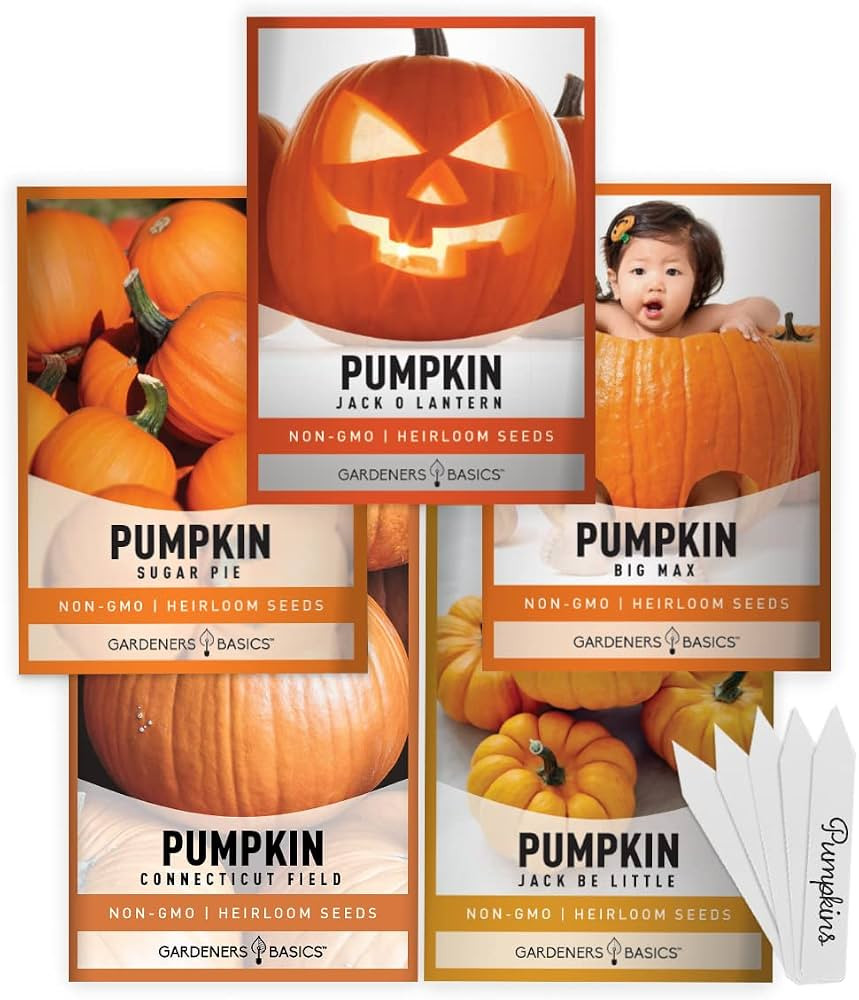 Gardeners Basics, Pumpkin Seeds to Plant - 5 Variety Baby Boo, Giant Big Max, Jack Be Little, Jac... | Amazon (US)