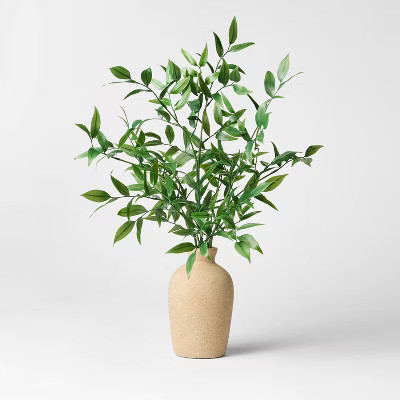 Italian Ruscus Potted Artificial Arrangement - Threshold™ designed with Studio McGee | Target
