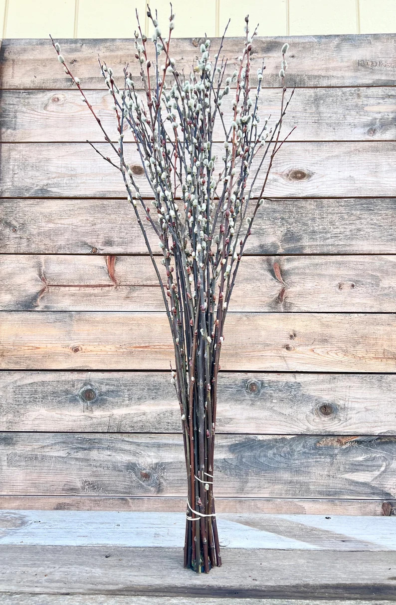 10 Stems Real Fresh Pussy Willow Bundle. Flower Arrangements DIY, Wedding, Fall Foliage, Spring, ... | Etsy (US)