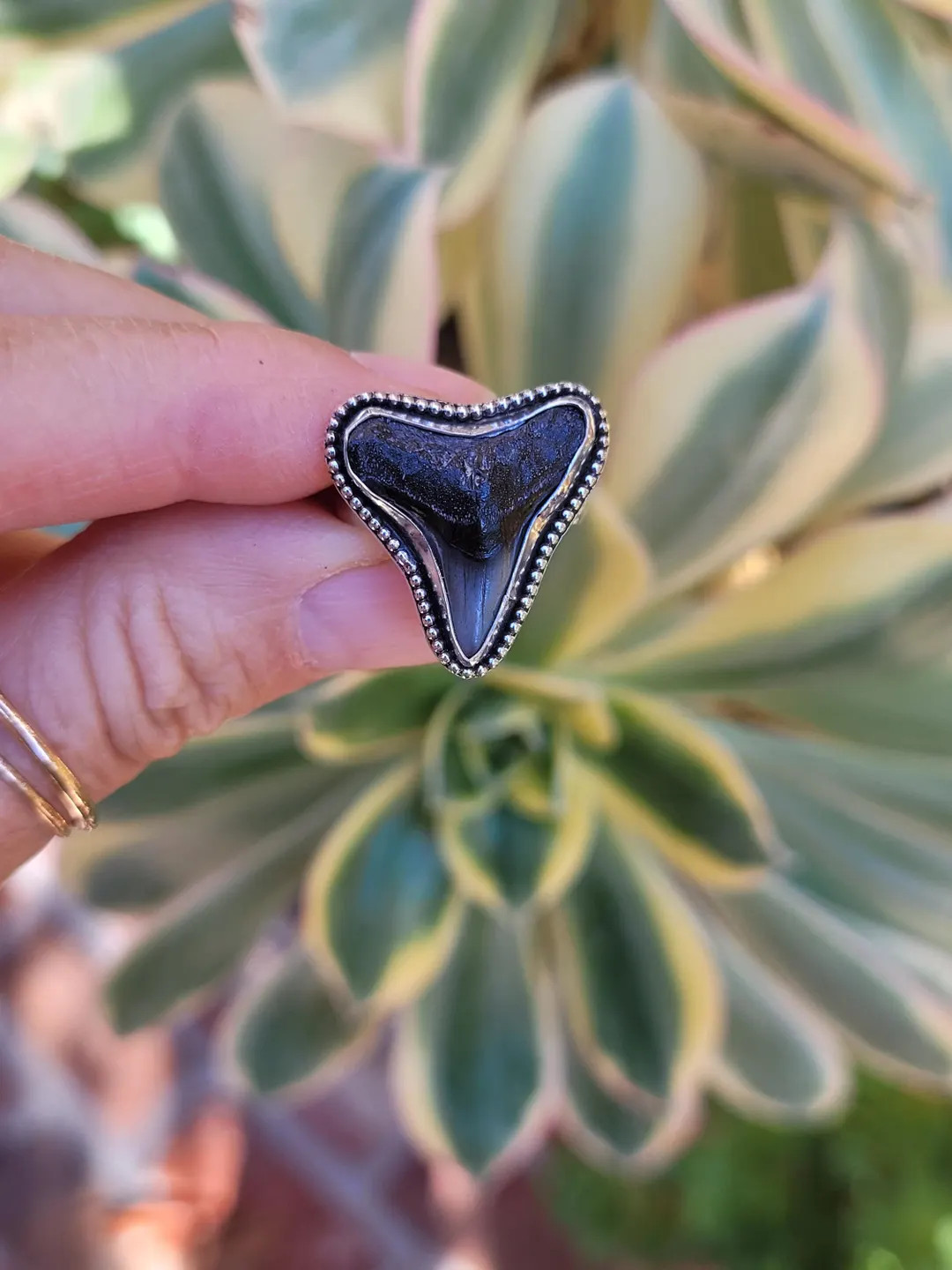 Silver Shark Tooth Ring. Sterling Silver Megalodon Ring. One of a Kind Custom Ring. - Etsy | Etsy (US)