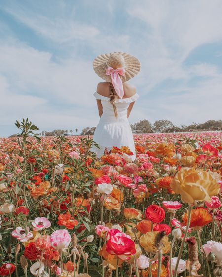 Spring Girl🌸🌼

This dress is only $25!! Linked in stories! Or DM 

Have you ever been to @theflowerfields? 

#LTKunder50 #LTKFind