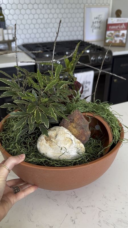 A beautiful Easter centerpiece. Beautiful way to show the death burial and resurrection of Jesus. Walmart terracotta bowl, moss, plants, terracotta small pot, sticks from the yard- 
Spring decor, table centerpiece

#LTKhome #LTKfindsunder50 #LTKVideo