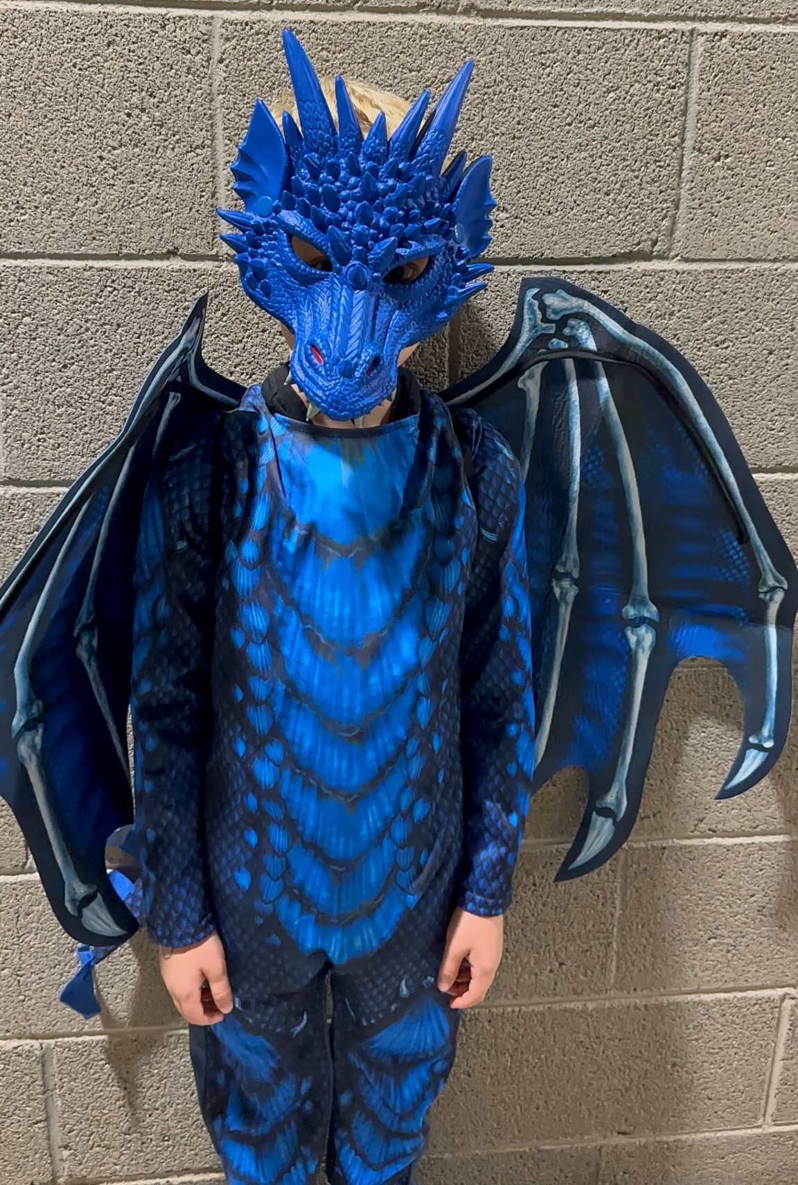 Luke’s ready for Halloween in his blue dragon costume from Amazon! 

#LTKHoliday #LTKStyleTip #LTKHalloween